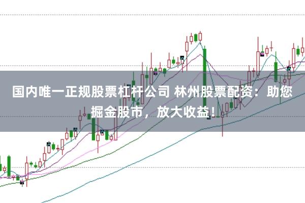 国内唯一正规股票杠杆公司 林州股票配资:助您掘金股市,放大收益!