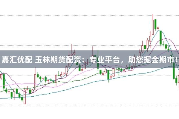 嘉汇优配 玉林期货配资：专业平台，助您掘金期市！