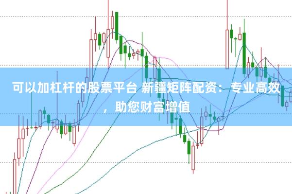 可以加杠杆的股票平台 新疆矩阵配资：专业高效，助您财富增值