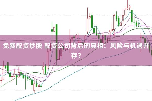 免费配资炒股 配资公司背后的真相:风险与机遇并存?