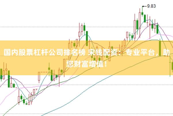 国内股票杠杆公司排名榜 宋钱配资:专业平台,助您财富增值!