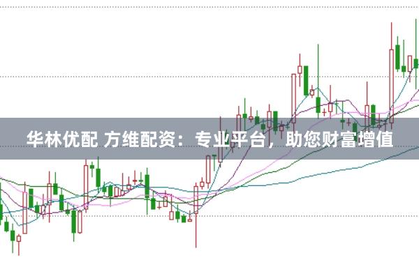 华林优配 方维配资：专业平台，助您财富增值