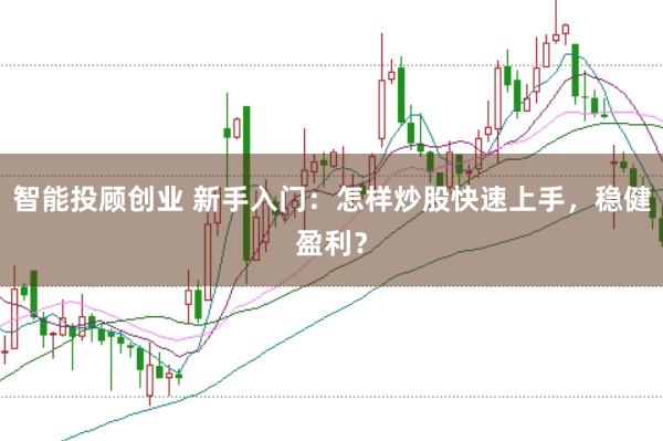 智能投顾创业 新手入门：怎样炒股快速上手，稳健盈利？