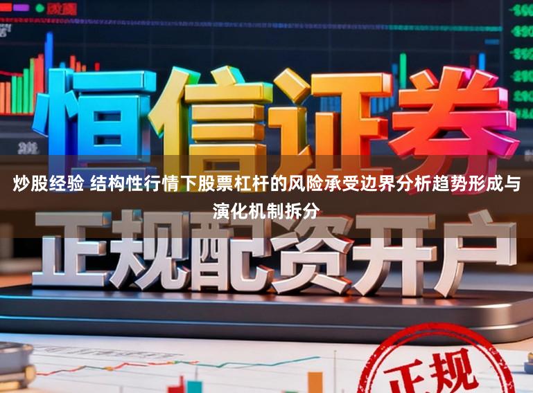 炒股经验 结构性行情下股票杠杆的风险承受边界分析趋势形成与演化机制拆分