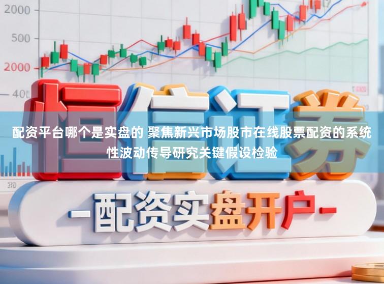 配资平台哪个是实盘的 聚焦新兴市场股市在线股票配资的系统性波动传导研究关键假设检验