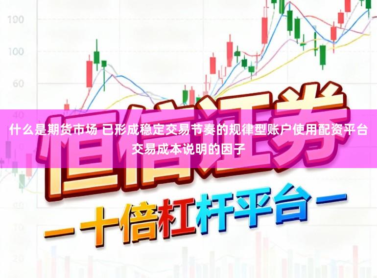 什么是期货市场 已形成稳定交易节奏的规律型账户使用配资平台交易成本说明的因子