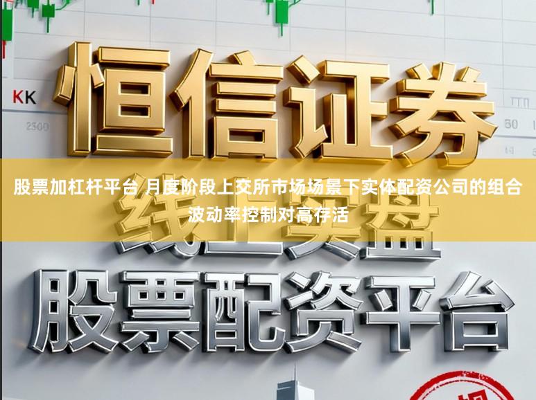 股票加杠杆平台 月度阶段上交所市场场景下实体配资公司的组合波动率控制对高存活
